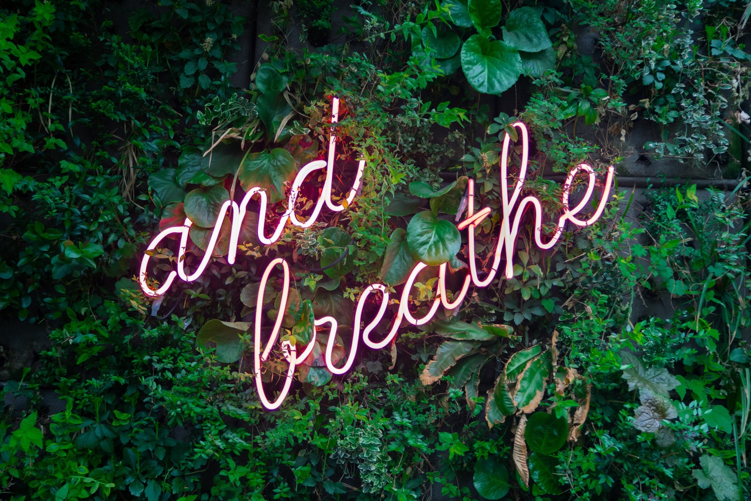 Breath & reconnect through the Wim Hof method